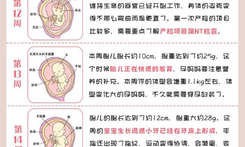 权威三个月的猫吃什么平台,分享专业三个月小猫吃什么食物知识_三个月猫吃什么食物网